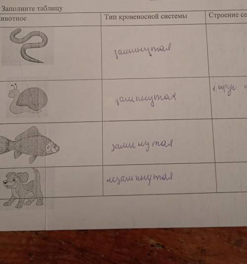 Заполните таблицу.Животное ,тип кровеносной системы, строение сердца (