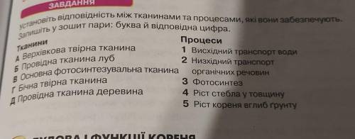 ЗАВДАННЯ Тканини установіть відповідність між тканинами та процесами, які вони забезпечують Запишіть