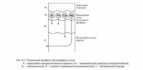 Рассмотрите рис. 8.1 и 8.2 и ответьте, как педосфера (почвенная оболочка) связана с гидросферой, атм