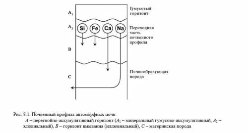 Рассмотрите рис. 8.1 и 8.2 и ответьте, как педосфера (почвенная оболочка) связана с гидросферой, атм