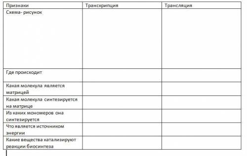 с таблицей по биологии Этапы биосинтеза белка в клетке