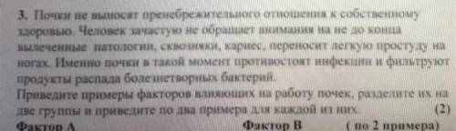 Если хотите можете написать кратко Почки не выносят пренебрежительного отношения к собственному здо