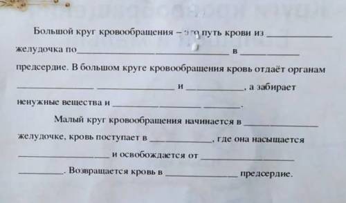 Большой круг кровообращения - о путь крови из желудочка по в предсердие. В большом круге кровообращ