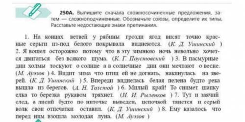 250A. Выпишите сначала сложносочиненные предложения, за- тем - сложноподчиненные. Обозначьте союзы,