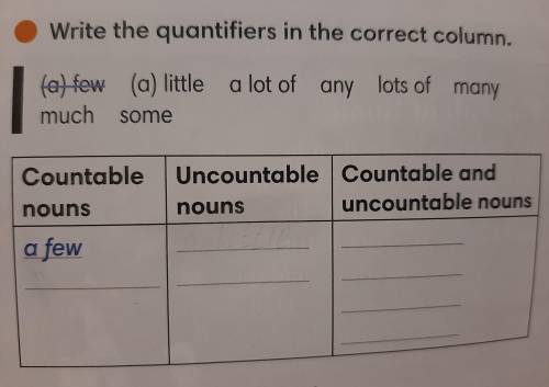 Write the quantifiers in the correct column (Ребят !)