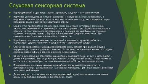 Почему ухо это сенсорная система?