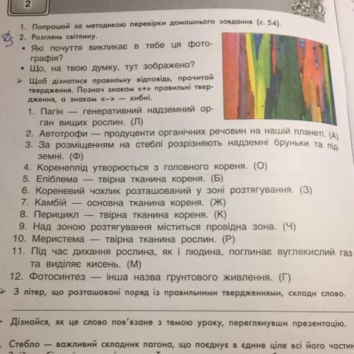 Познач знаком плюс правильні твердження знаком мінус хибні на фото завдання