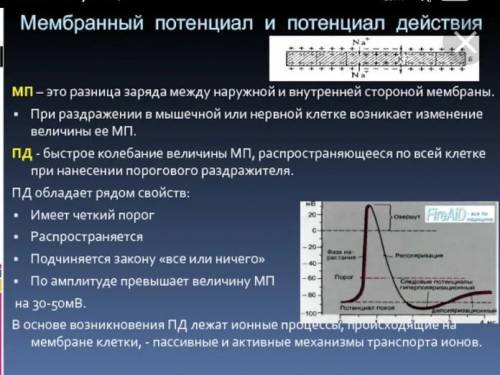 Чем мембранный потенциал отличается от потенциального?