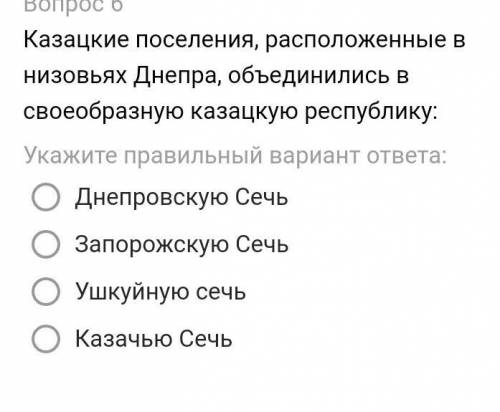 Казацкие поселения, расположенные в низовьях Днепра, объединились в своеобразную казацкую республику