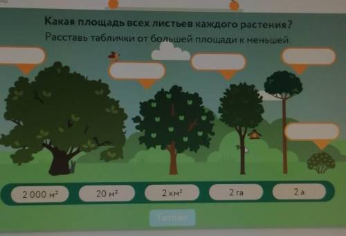 Какая площадь всех листьев каждого растения ? Расставь таблички от большей площади к меньшей. 2000 M