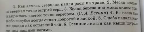 4. ответьте на вопросы Каким членом предложения они являются? Объясните постановку знаков препинания