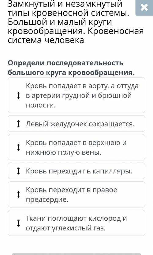 Человека определи последовательность большого круга кровообращения. кровь попадает в аорту, а оттуда