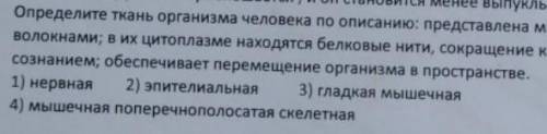 Определите ткань человека представлена многоядерными волокнами ,в их цитоплазме находятся белковые н