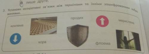 3. Установи асоціативні зв'язки між термінами та їхніми зашифрованими зображеннями та обгрунтуй свою