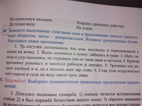 с надо, люди добрые кто угодно! упражнение номер 14 дам 20