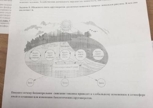 Тема: круговорот веществ в биосфере.