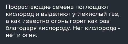 Объясните ,почему горящая лучина при опускание в колбу с проросшими семенами пшеници