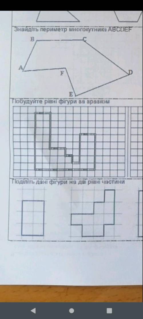 Поділіть дані фігури на дві рівні частини