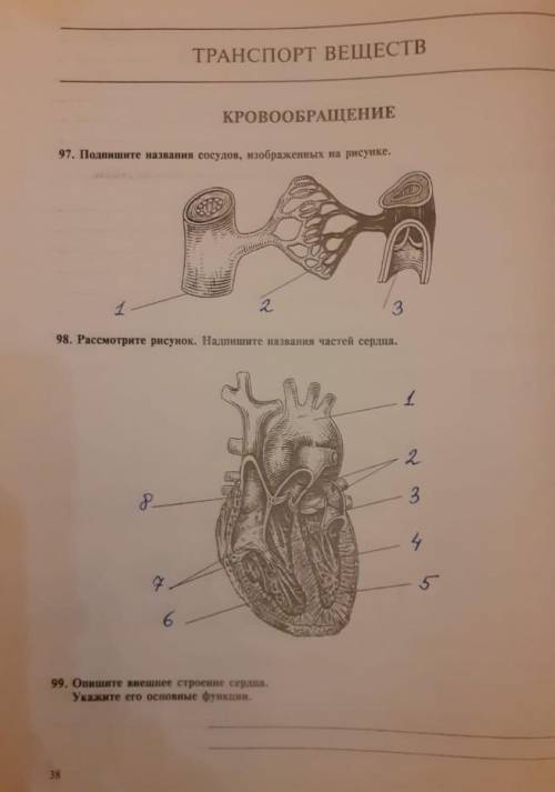 , 8 класс биология, вопросы на картинке 97 98 99