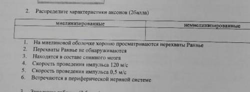 2. Распределите характеристики аксонов ( ) миелинизированные немислинизированные 1. На мнелиновой об