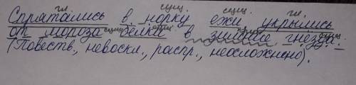 Спрятались в норку ежи укрылись от мороза белки в зимние гнёзда синтаксический разбор