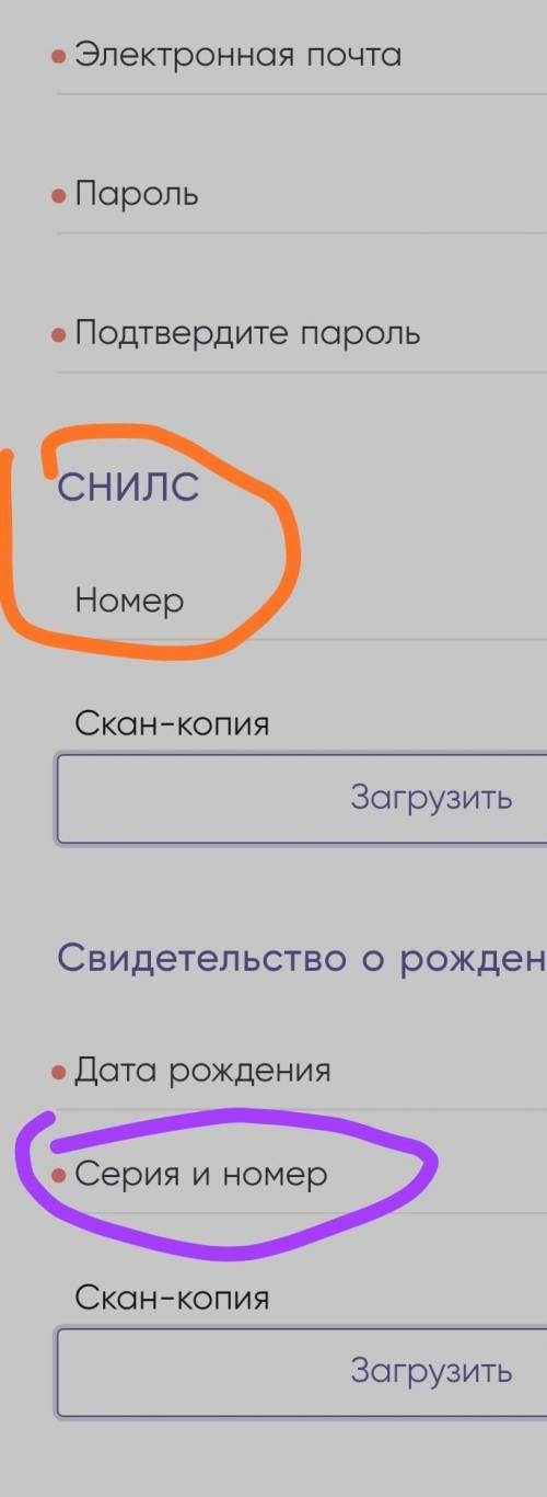 . что это такое и как это заполнить?