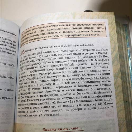 213. Спишите, вставляя н или нн и комментируя свой выбор.