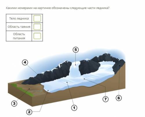 Какими номерами на картинке обозначены следующие части ледника?