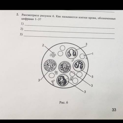 со 2 заданием Ещё там написано было из этого задания Каковы функции этих клеток? На это вопрос ещё о