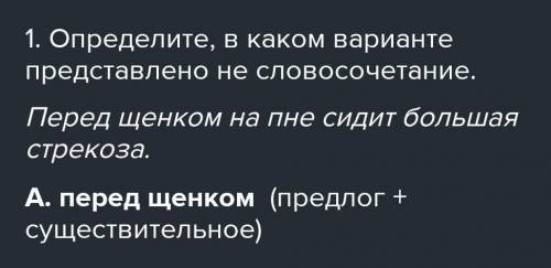 Определите, в каком варианте представлено не словочитание А) перед щенком Б) перед щенком сидит В) н