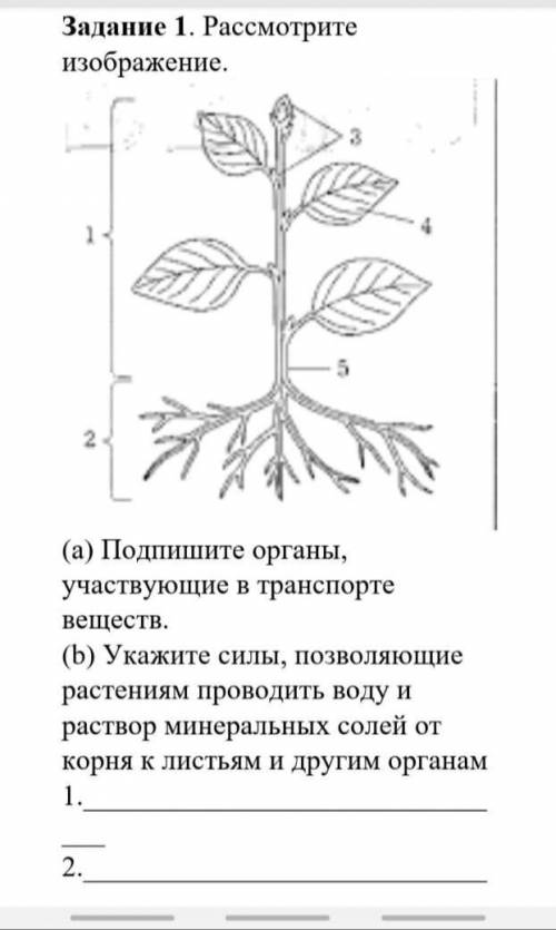 Ребята с биологией 7 класс