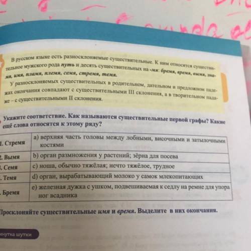 Укажите соответствие.Как называются существительные первой графы? Какие ещё слова относятся к этому