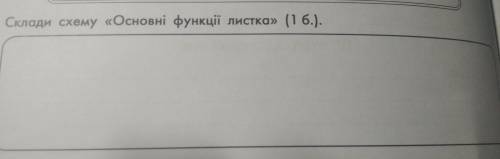 2. Склади схему «Основні функції листка»ХЕЛП