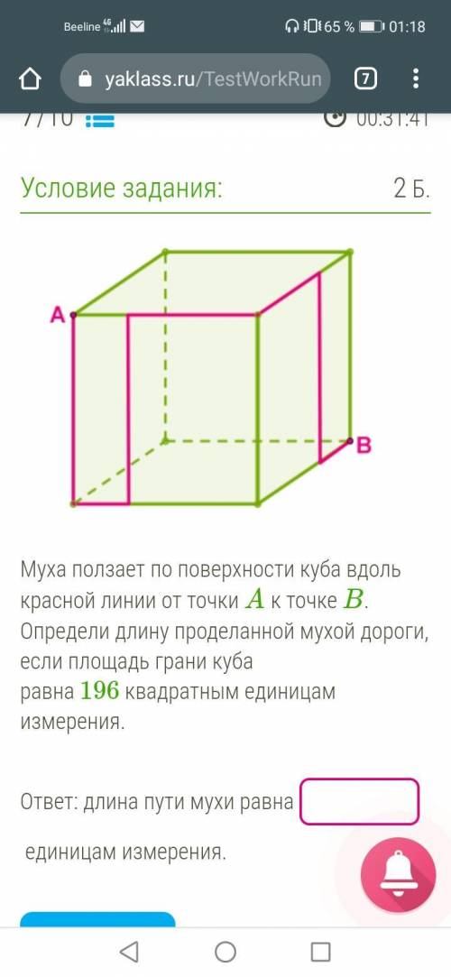 Муха ползает по поверхности куба вдоль красной линии от точки A к точке B. Определи длину проделанно