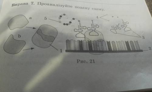 Визначте: 1) назву процесу:2) учасників процесу:3) сутність процесу: