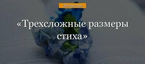 Конспект трехсложные размеры стиха по литературе