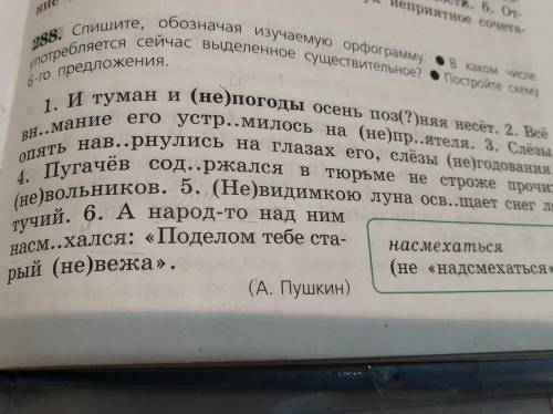 288. Спишите, обозначая изучаемую орфограмму. В каком числе употребляется сейчас выделенное существи