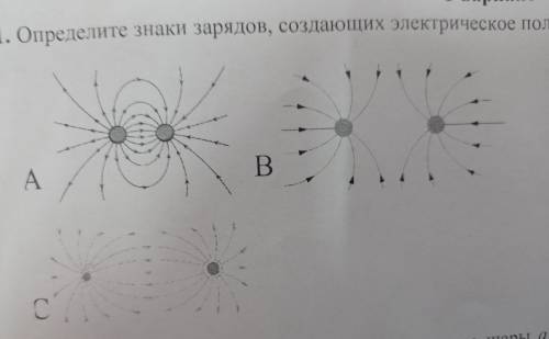 1.Определите знаки зарядов создающие электрическое поле.