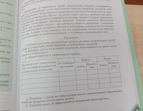 Лабораторная работа номер 6 Исследование влияния ауксина на растения 1) оцените состояние вегетати