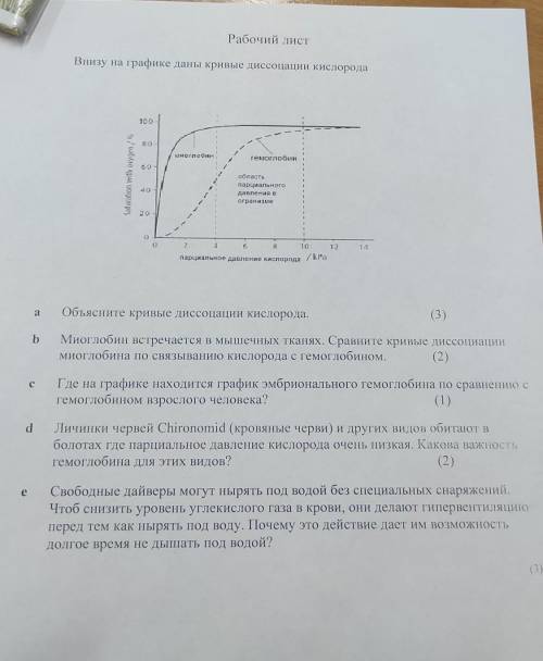 Рабочий листВнизу на графике даны кривые диссоциации кислорода