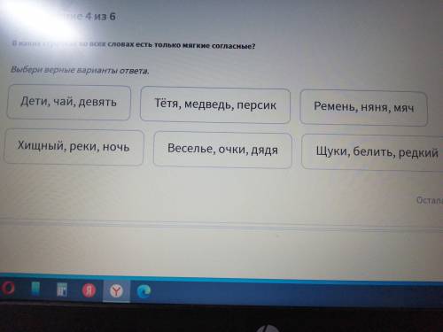 В каких строчках во всех словах есть только мягкие согласные?