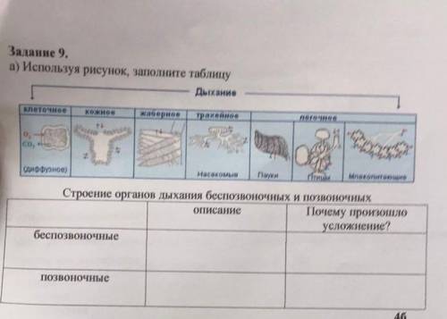 a) ИСПОЛЬЗУЯ Рисунок, заполните таблицуклеточноеДыханиеHacorotunСтроение органов дыхания беспозвоноч