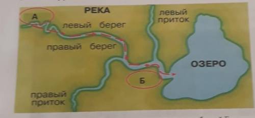 Заданне 5. Река - это большой поток воды, который течет в разработанном им русле. В строении рек- им