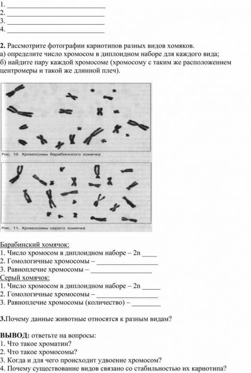 Только 2 задание про хромосомы