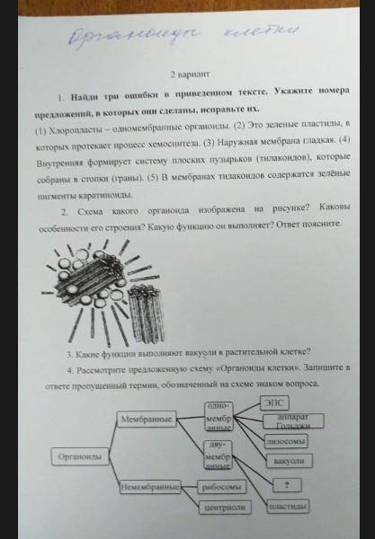 Тест по биологии органоиды клеток