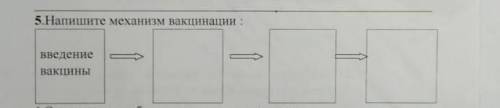 5.Напишите что происходит с человеком после вакцинации 1 Введение вакцины234
