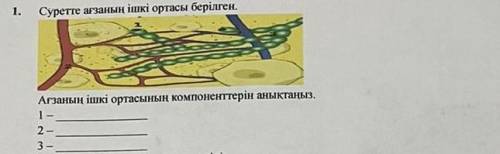 (на русском!)1. На картинке изображена внутренняя среда организма. 2. Определите компоненты внутренн