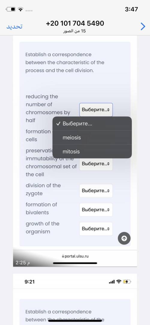 Establish a correspondence between the characteristic of the process and the cell division.