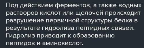 РЕШИТЬ ЛЮДИ ДОБРЫЕ Напишите реакцию гидролиза белков подпишите все продукты реакций .