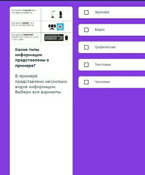 Какие типы информации представлены в примере?